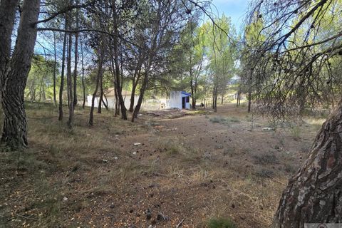 Helårsgrund i Tibi, Alicante, Tibi - € 43.000 | Ref: 1700-ern-011225 - foto 10