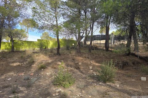 Helårsgrund i Tibi, Alicante, Tibi - € 43.000 | Ref: 1700-ern-011225 - foto 14