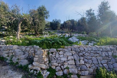 Villa a Sonnino, Latina, Sonnino - € 79.000 | Ref: 2162 - foto 15