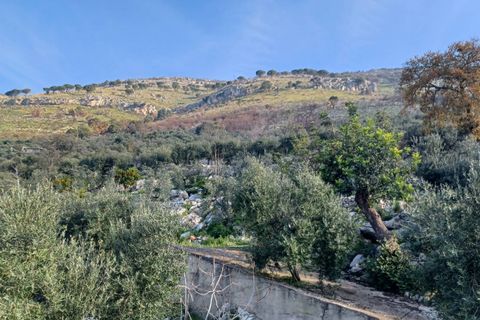 Villa a Sonnino, Latina, Sonnino - € 79.000 | Ref: 2162 - foto 19