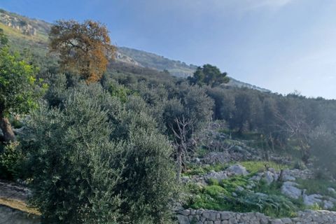 Villa a Sonnino, Latina, Sonnino - € 79.000 | Ref: 2162 - foto 20