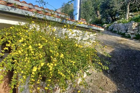 Villa a Sonnino, Latina, Sonnino - € 79.000 | Ref: 2162 - foto 25