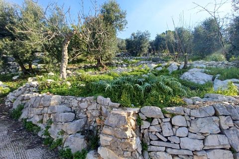 Villa a Sonnino, Latina, Sonnino - € 79.000 | Ref: 2162 - foto 26