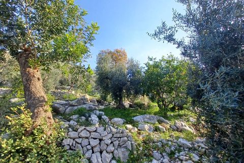 Villa a Sonnino, Latina, Sonnino - € 79.000 | Ref: 2162 - foto 27