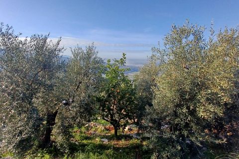Villa a Sonnino, Latina, Sonnino - € 79.000 | Ref: 2162 - foto 29
