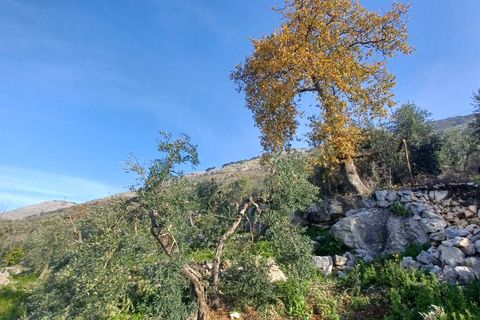 Villa a Sonnino, Latina, Sonnino - € 79.000 | Ref: 2162 - foto 31
