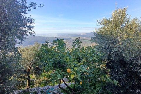 Villa a Sonnino, Latina, Sonnino - € 79.000 | Ref: 2162 - foto 32