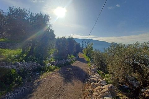 Villa a Sonnino, Latina, Sonnino - € 79.000 | Ref: 2162 - foto 36
