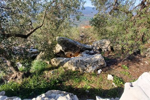 Villa a Sonnino, Latina, Sonnino - € 79.000 | Ref: 2162 - foto 37