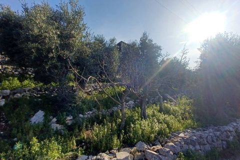 Villa a Sonnino, Latina, Sonnino - € 79.000 | Ref: 2162 - foto 40