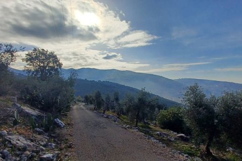 Villa a Sonnino, Latina, Sonnino - € 79.000 | Ref: 2162 - foto 41