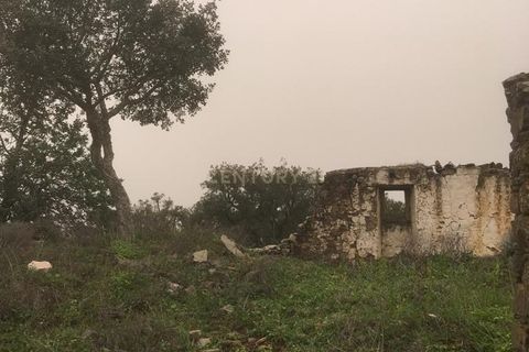 Helårsgrund i Almodovar, Beja, Almodovar - € 27.000 | Ref: C0384-00150 - foto 2