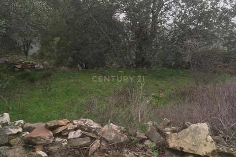 Helårsgrund i Almodovar, Beja, Almodovar - € 27.000 | Ref: C0384-00150 - foto 4