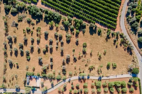 Helårsgrund i Algoz, Faro, Algoz - € 170.000 | Ref: C0384-00222 - foto 9