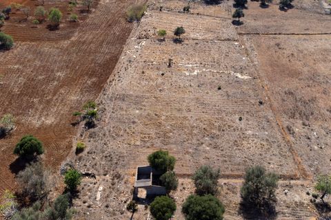 Helårsgrund i Algoz, Faro, Algoz - € 48.500 | Ref: C0384-00212 - foto 3