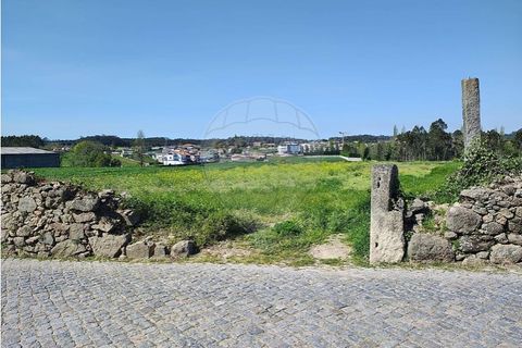 Terra a Vila do Conde, Porto, Vila do Conde - € 1.600/mes | Ref: 120781543-46 - foto 5