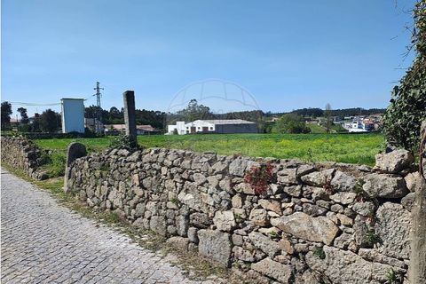Terra a Vila do Conde, Porto, Vila do Conde - € 1.600/mes | Ref: 120781543-46 - foto 6