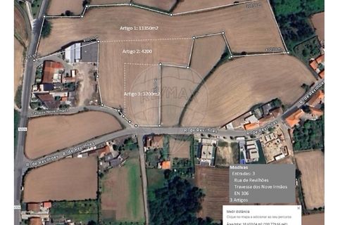 Terra a Vila do Conde, Porto, Vila do Conde - € 1.600/mes | Ref: 120781543-46 - foto 8