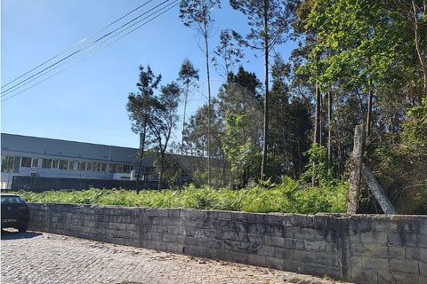 Terra a Vila do Conde, Porto, Vila do Conde - € 1.150/mes | Ref: 120781543-47 - foto 5