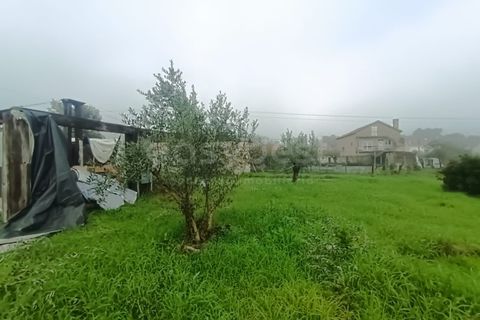 Villa i Ourem, Santarem, Ourem - € 450.000 | Ref: TM92357 - foto 27