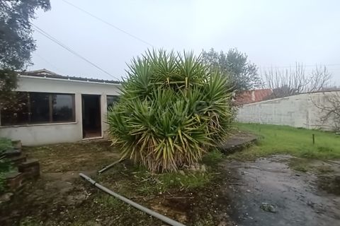 Villa i Ourem, Santarem, Ourem - € 450.000 | Ref: TM92357 - foto 29