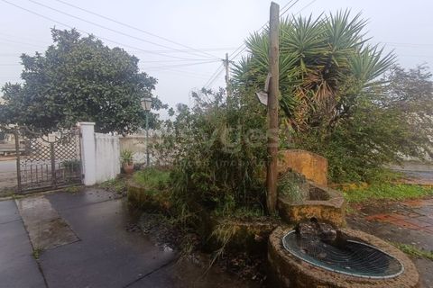 Villa i Ourem, Santarem, Ourem - € 450.000 | Ref: TM92357 - foto 31