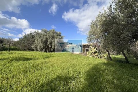 Villa i Noto, Siracusa, Noto - € 240.000 | Ref: NT VCAM 43 - foto 22