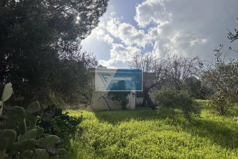 Villa i Noto, Siracusa, Noto - € 240.000 | Ref: NT VCAM 43 - foto 24