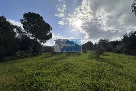 Villa i Noto, Siracusa, Noto - € 240.000 | Ref: NT VCAM 43 - foto 25