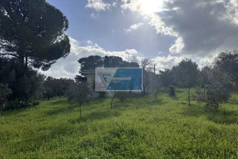 Villa i Noto, Siracusa, Noto - € 240.000 | Ref: NT VCAM 43 - foto 26