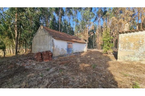 Villa i Torres Vedras, Lisbon, Torres Vedras - € 89.000 | Ref: MTM6882 - foto 2