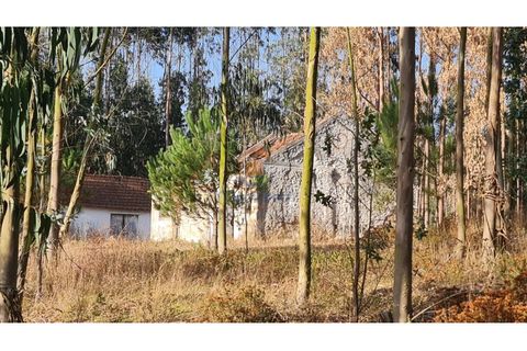 Villa i Torres Vedras, Lisbon, Torres Vedras - € 89.000 | Ref: MTM6882 - foto 3