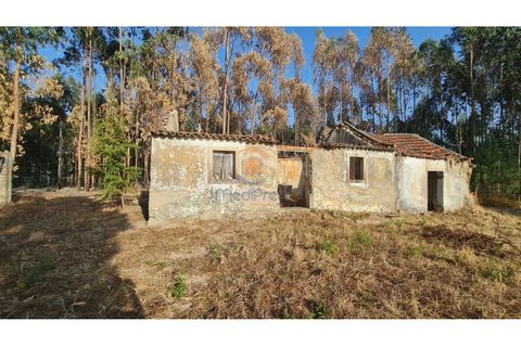 Villa i Torres Vedras, Lisbon, Torres Vedras - € 89.000 | Ref: MTM6882 - foto 4