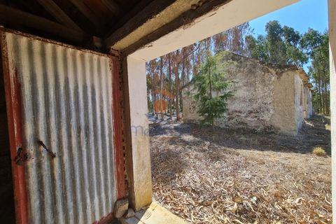 Villa i Torres Vedras, Lisbon, Torres Vedras - € 89.000 | Ref: MTM6882 - foto 5