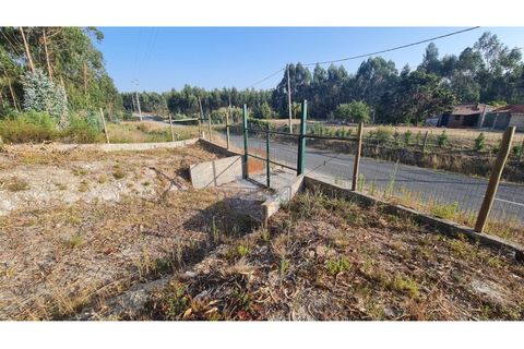Villa i Torres Vedras, Lisbon, Torres Vedras - € 89.000 | Ref: MTM6882 - foto 6