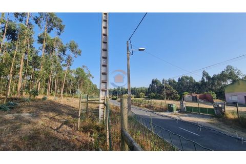 Villa i Torres Vedras, Lisbon, Torres Vedras - € 89.000 | Ref: MTM6882 - foto 7