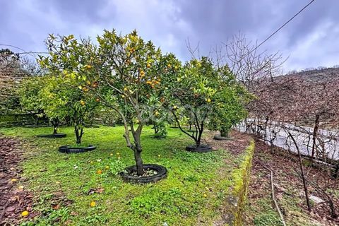 Villa i Sobral Pichorro e Fuinhas, Guarda, Sobral Pichorro e Fuinhas - € 240.000 | Ref: ZMPT584964 - foto 30