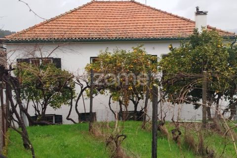 Villa i Sobral Pichorro e Fuinhas, Guarda, Sobral Pichorro e Fuinhas - € 240.000 | Ref: ZMPT584964 - foto 37