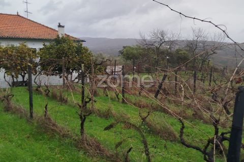 Villa i Sobral Pichorro e Fuinhas, Guarda, Sobral Pichorro e Fuinhas - € 240.000 | Ref: ZMPT584964 - foto 39