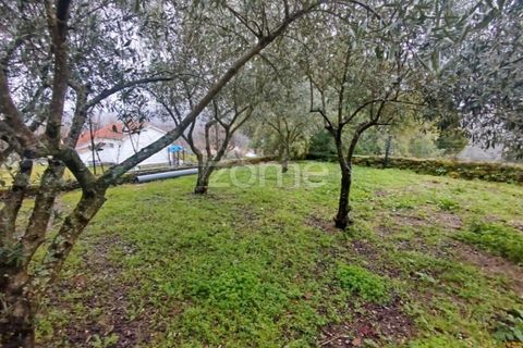 Villa i Sobral Pichorro e Fuinhas, Guarda, Sobral Pichorro e Fuinhas - € 240.000 | Ref: ZMPT584964 - foto 41