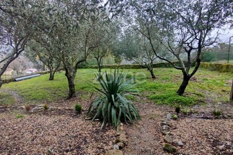 Villa i Sobral Pichorro e Fuinhas, Guarda, Sobral Pichorro e Fuinhas - € 240.000 | Ref: ZMPT584964 - foto 42