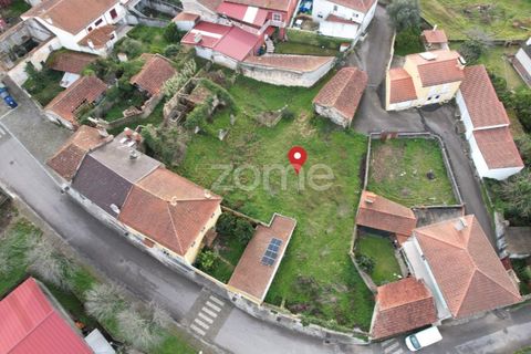 Villa a Mealhada, Aveiro, Mealhada - € 59.900 | Ref: ZMPT573690 - foto 4