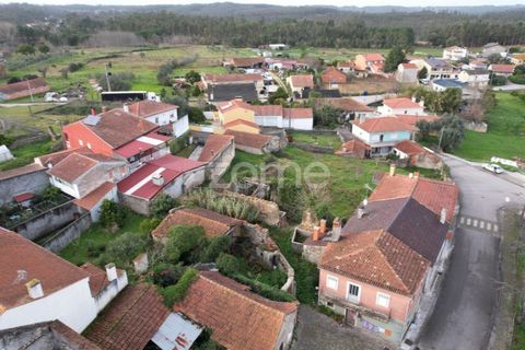 Villa a Mealhada, Aveiro, Mealhada - € 59.900 | Ref: ZMPT573690 - foto 7