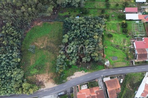 Helårsgrund i Coimbra, Coimbra, Coimbra - € 75.000 | Ref: ZMPT584741 - foto 8