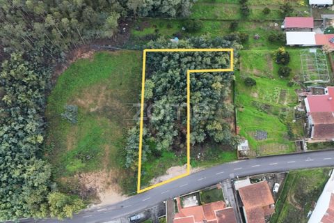 Helårsgrund i Coimbra, Coimbra, Coimbra - € 75.000 | Ref: ZMPT584743 - foto 3