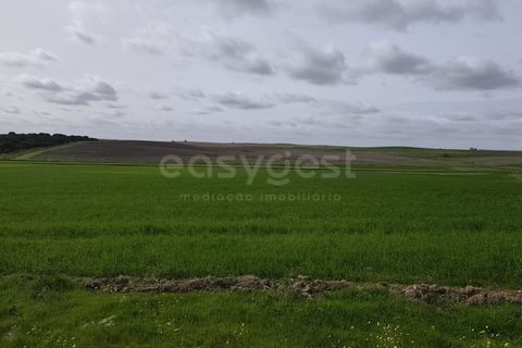 Helårsgrund i Aljustrel, Beja, Aljustrel - € 56.500 | Ref: BJ98639AJ - foto 1
