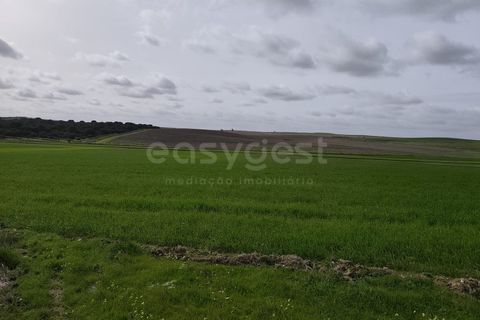 Helårsgrund i Aljustrel, Beja, Aljustrel - € 56.500 | Ref: BJ98639AJ - foto 2