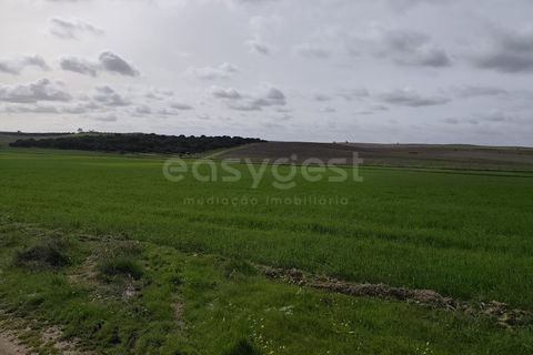 Helårsgrund i Aljustrel, Beja, Aljustrel - € 56.500 | Ref: BJ98639AJ - foto 3