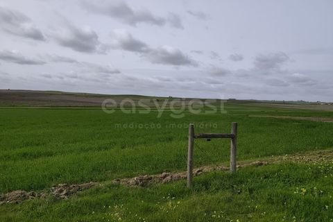 Helårsgrund i Aljustrel, Beja, Aljustrel - € 56.500 | Ref: BJ98639AJ - foto 4