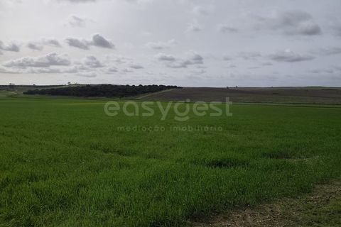 Helårsgrund i Aljustrel, Beja, Aljustrel - € 56.500 | Ref: BJ98639AJ - foto 6